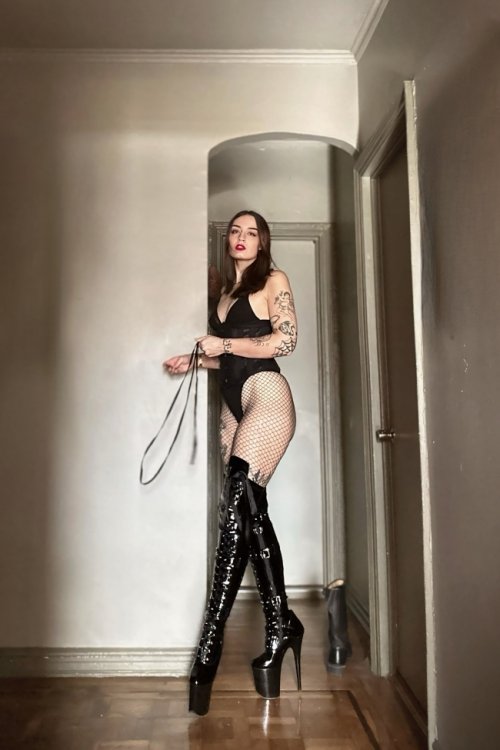 VEDA