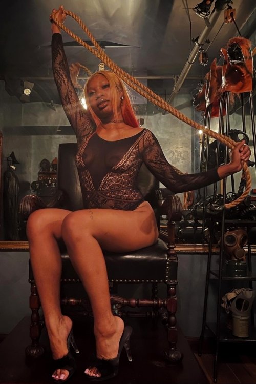 VENUS
